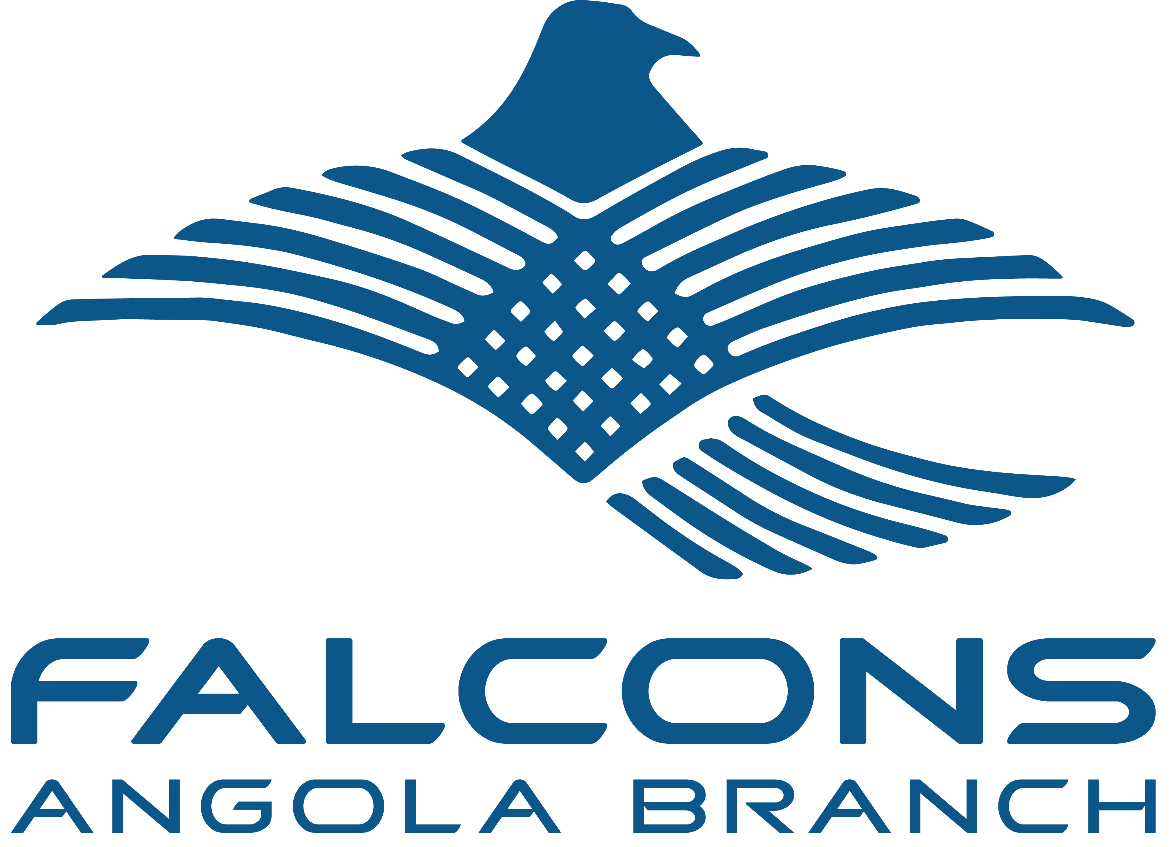 Falcons Angola Branch Logo